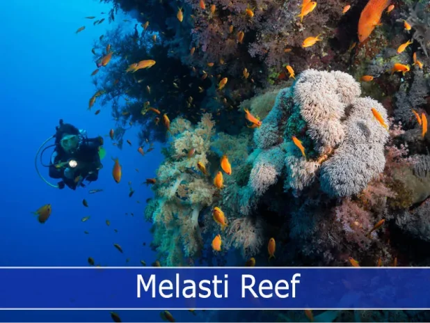 Discover the Hidden Beauty of Melasti Reef Dive Site in Tulamben